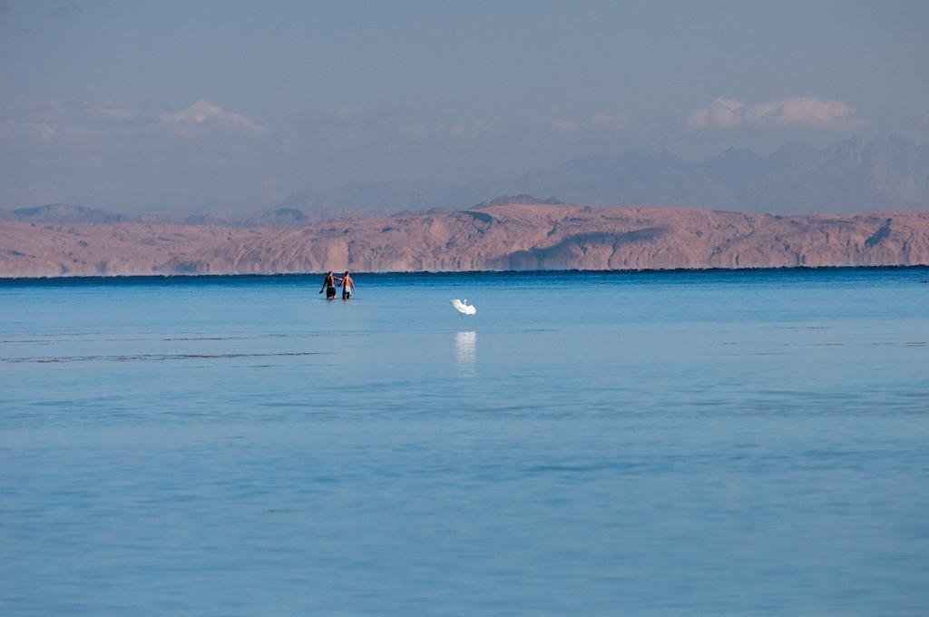 Amwaj Oyoun Resort & Casino Şarm El-Şeyh Dış mekan fotoğraf